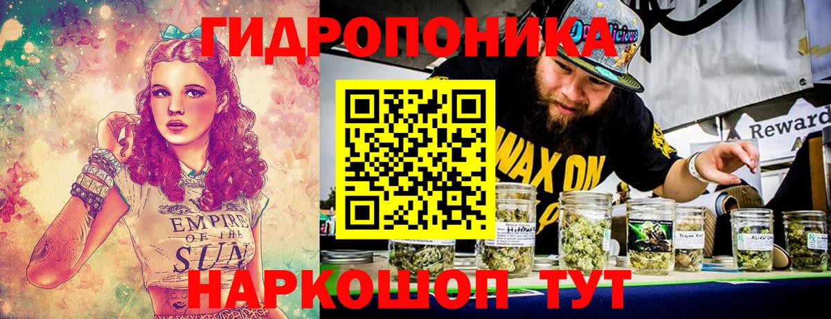 Бошки Шишки Amnesia Лесозаводск
